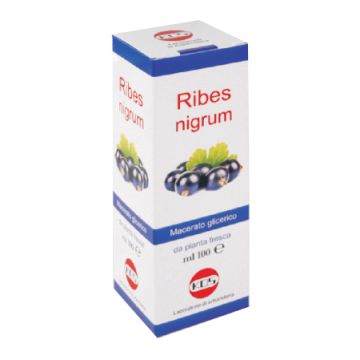 Ribes nigrum macerato glicerico 100 ml gocce