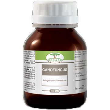Ganofungus 60 capsule flacone 24 g