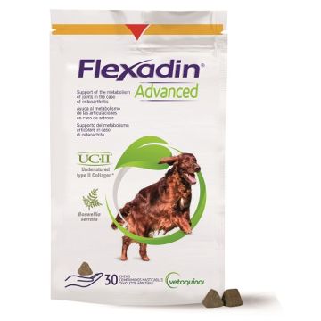 Flexadin advanced cane tutte le taglie 30 tavolette appetibili
