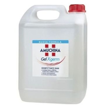 Amuchina gel x-germ disinfettante mani 5 litri